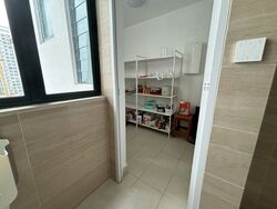 Fortune Jade (D15), Apartment #433000281